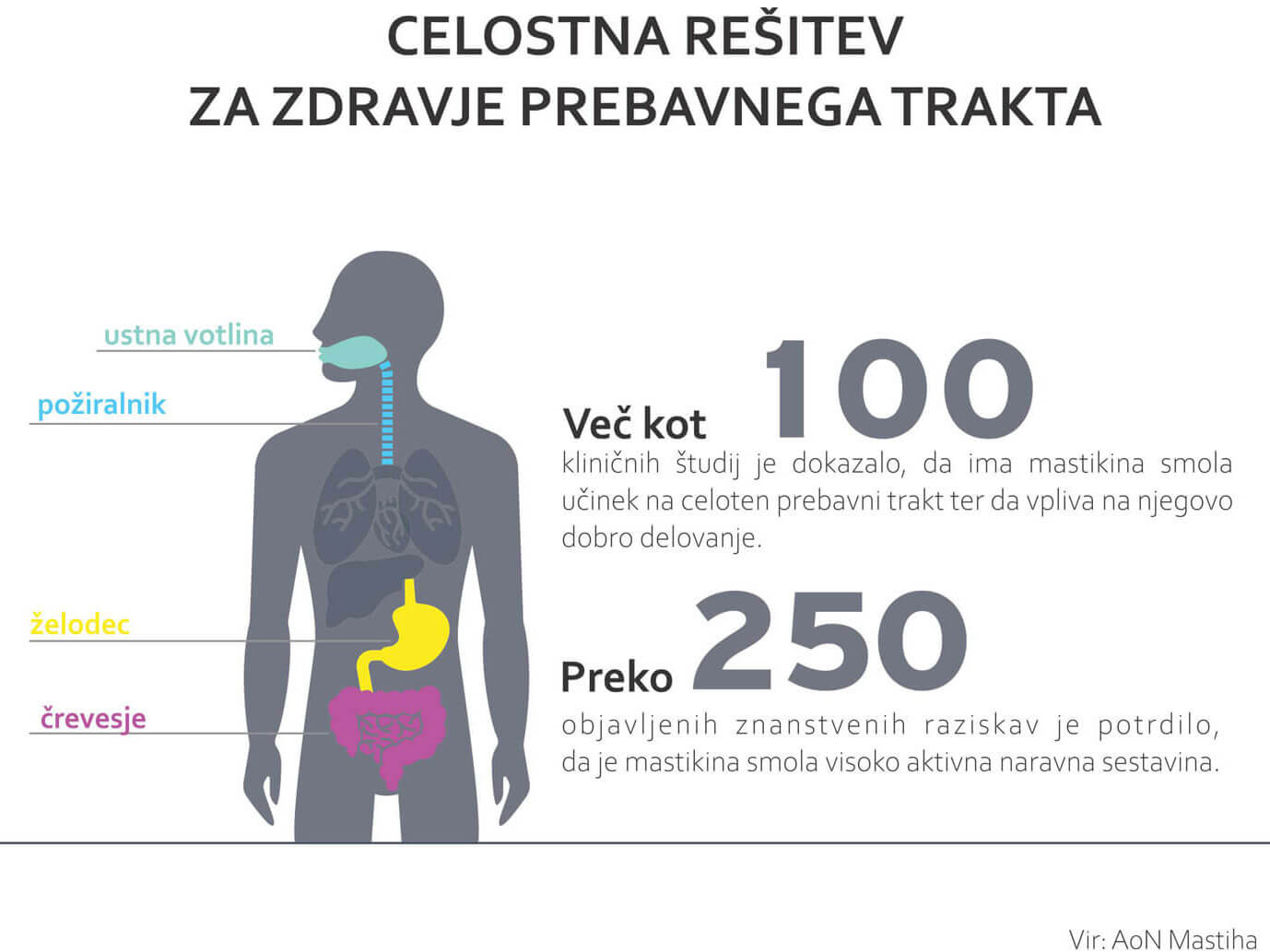Grafika prikazuje silhueto osebe z označenimi predeli telesa kot ustna votlina, požiralnik, želodec in črevesje.