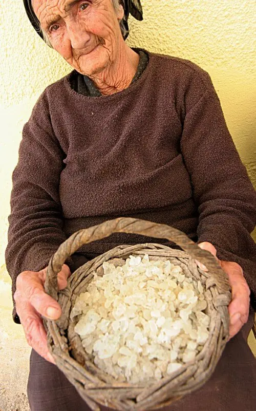 Starejša gospa drži pleteno košaro polno kapljic mastihe z otoka Chios.