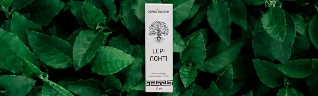 Lepi nohti za lepe nohte v objemu listov narave